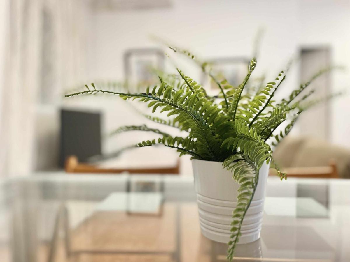 Apartamento En El Centro De Malaga En El Soho 외부 사진